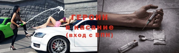 гашик Алексин