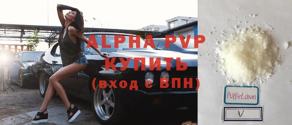 гашик Алексин