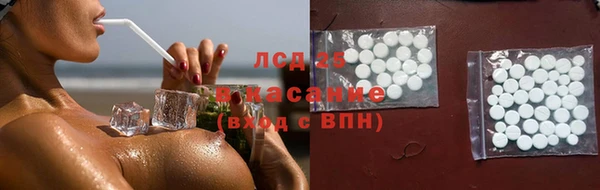 гашик Алексин