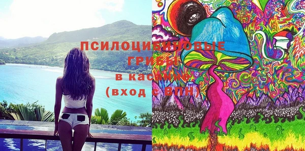 ешки Алзамай