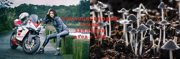 apvp Алексеевка