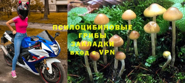 apvp Алексеевка