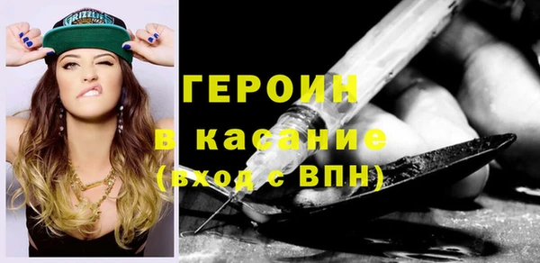 гашик Алексин